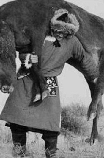 Балуан Шолак